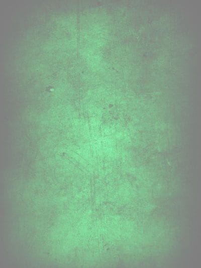 Tourism & Accommodation