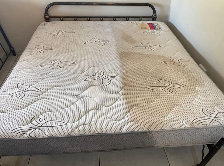 Once-off deep cleaning specialists Potgietersrus